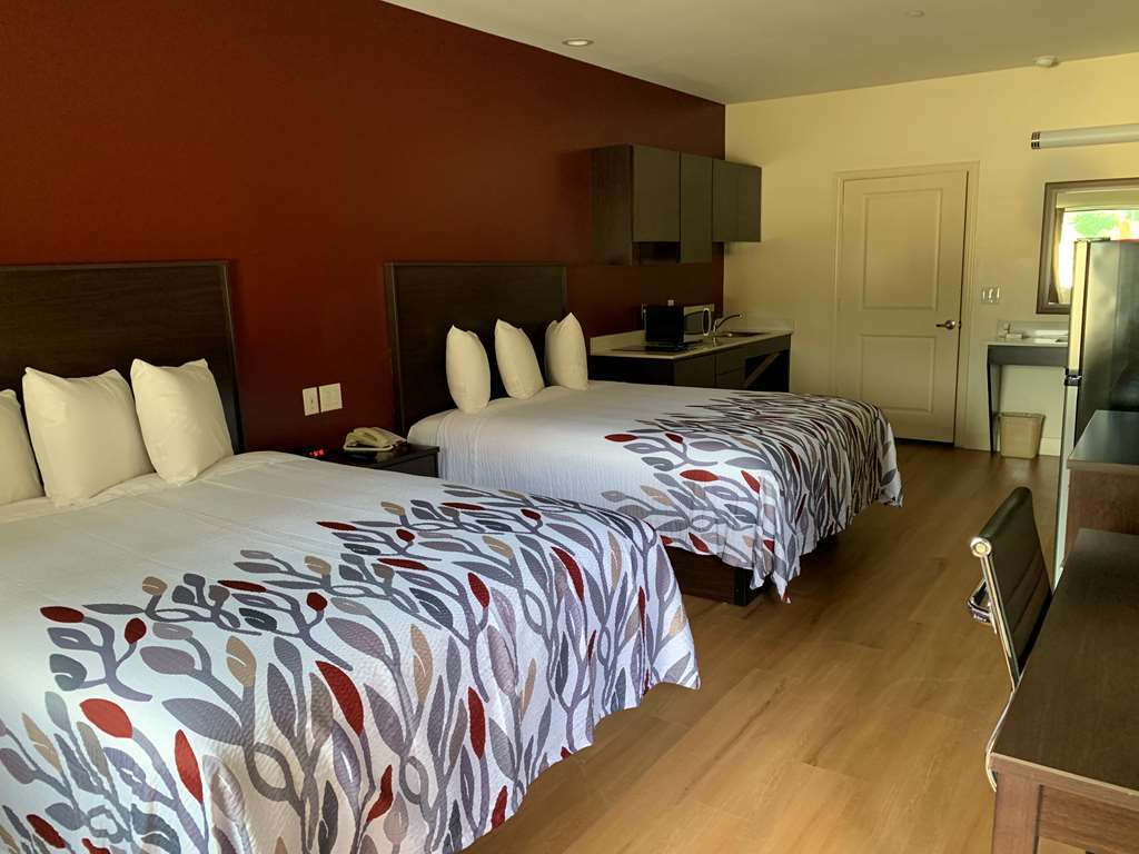 Red Roof Inn Houston - Willowbrook Louetta Rum bild